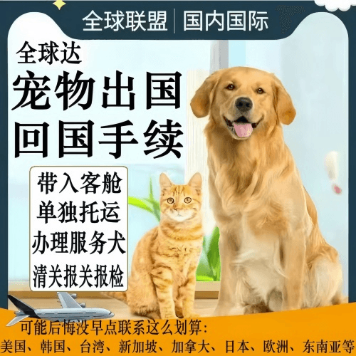内江市宠物托运到柬埔寨宠物入境规定和要求